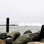 In Nahe Ostseestrand ダンプ