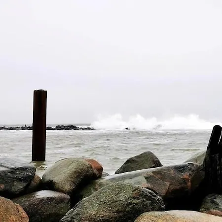 In Nahe Ostseestrand Damp
